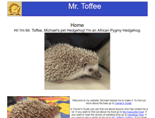 Tablet Screenshot of mrtoffee.com